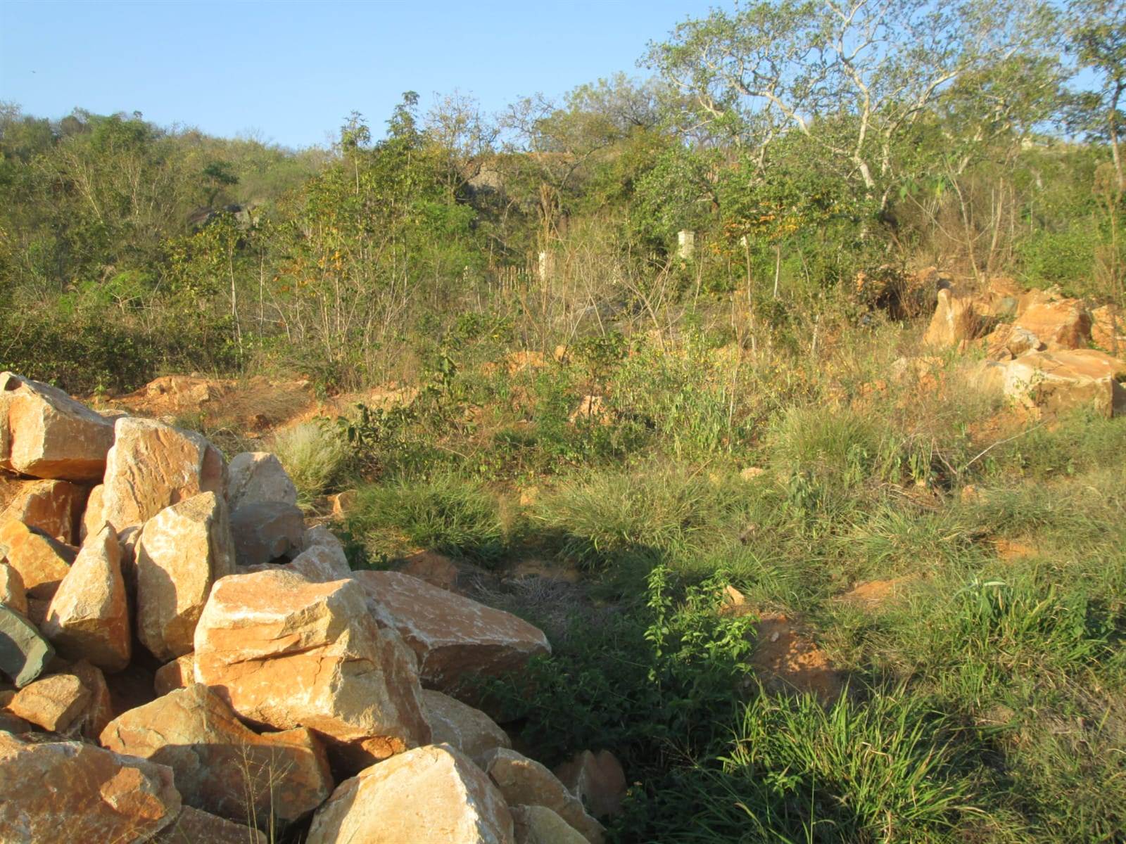 906 m² Land available in Drum Rock photo number 6