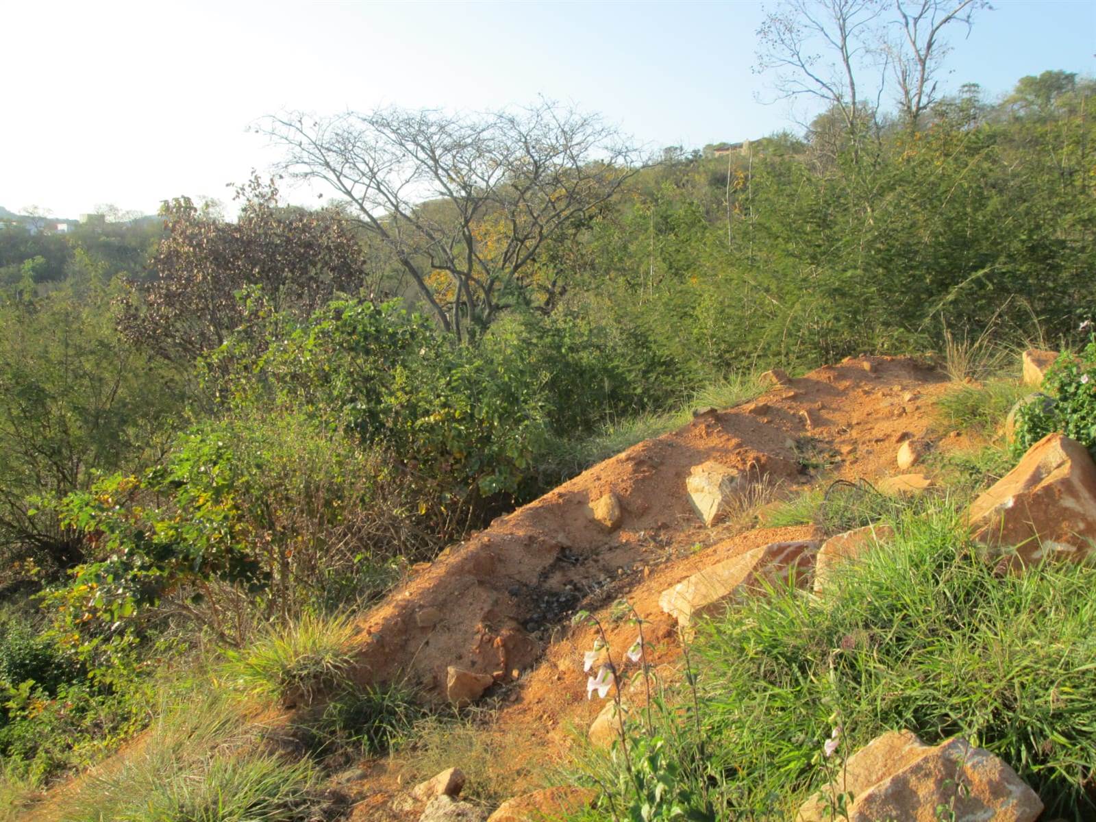906 m² Land available in Drum Rock photo number 5
