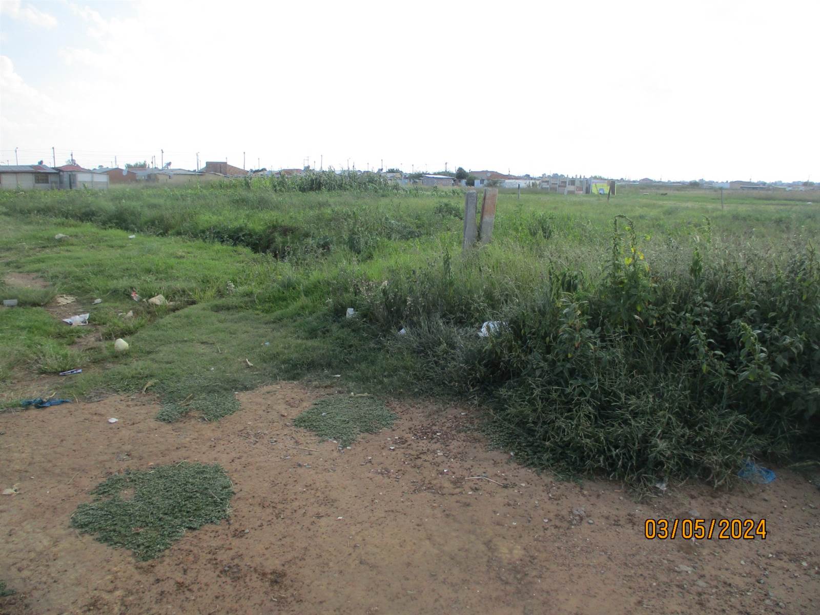 1094 m² Land available in Mayfield photo number 1