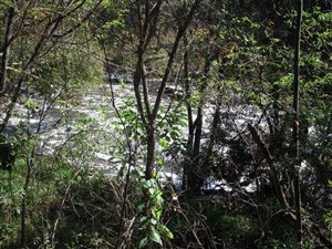 5.2 ha Land available in Hennops River