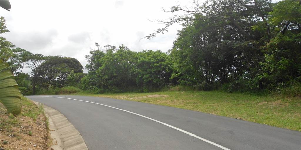 1433 m² Land available in Ramsgate photo number 7