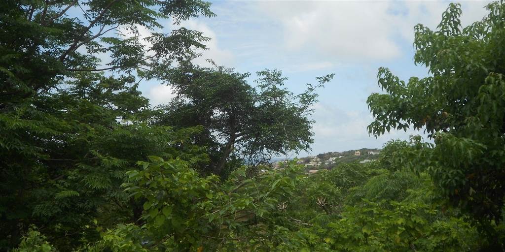 1433 m² Land available in Ramsgate photo number 3