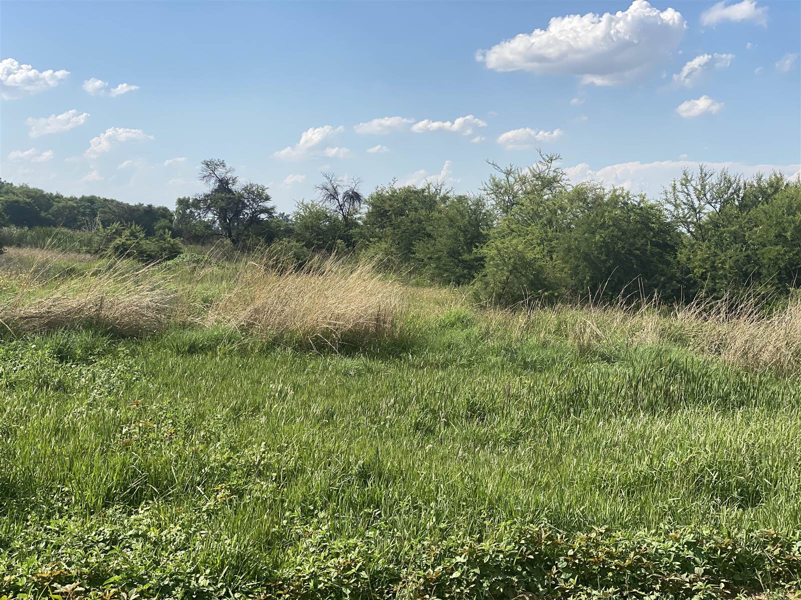 13.1 ha Land available in Zwavelpoort photo number 6