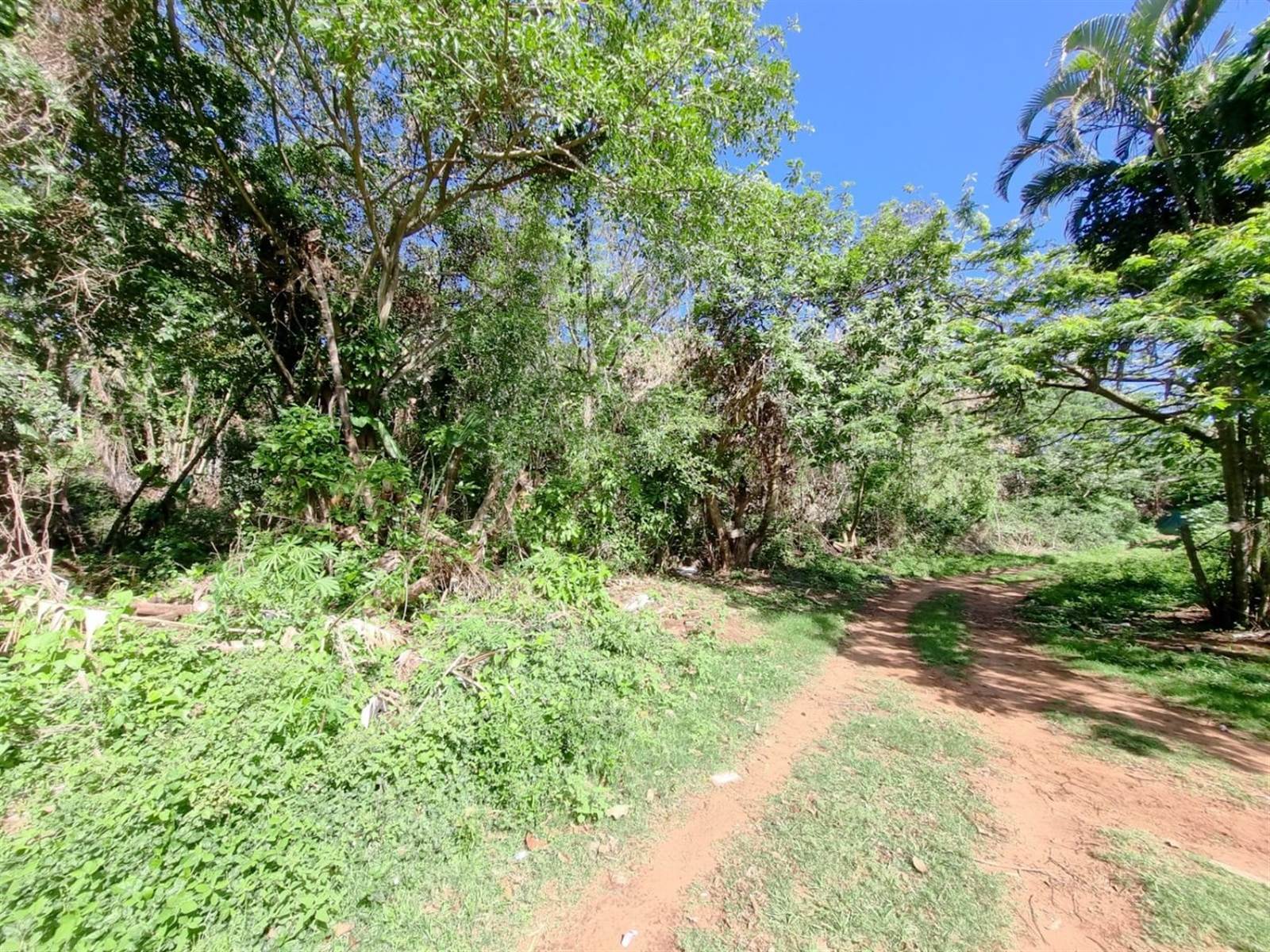 6853 m² Land available in Illovo Beach photo number 4