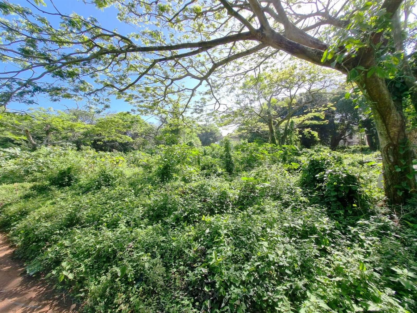 6853 m² Land available in Illovo Beach photo number 1