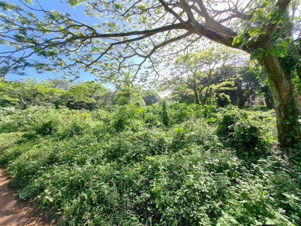 6853 m² Land available in Illovo Beach