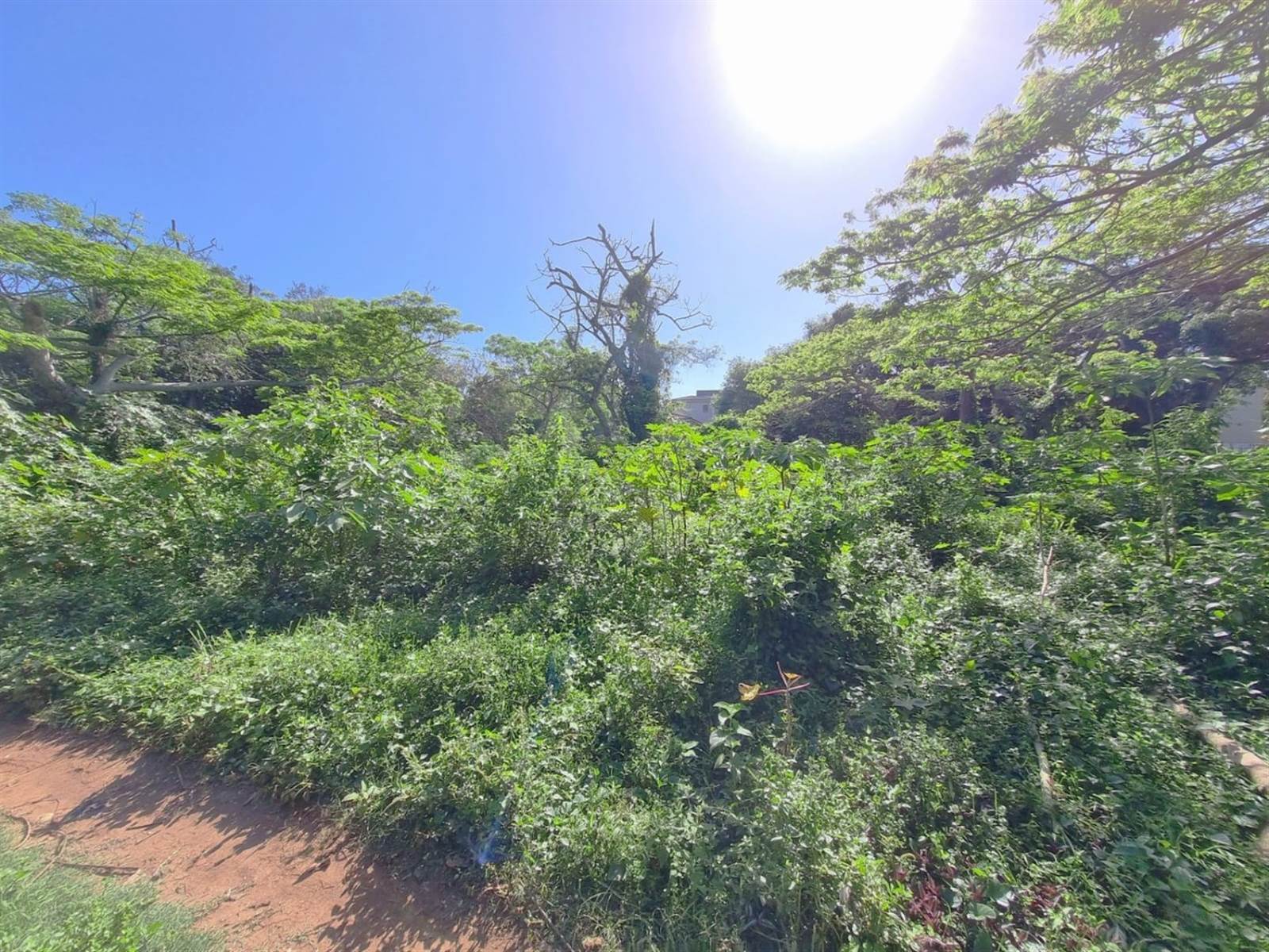 6853 m² Land available in Illovo Beach photo number 3