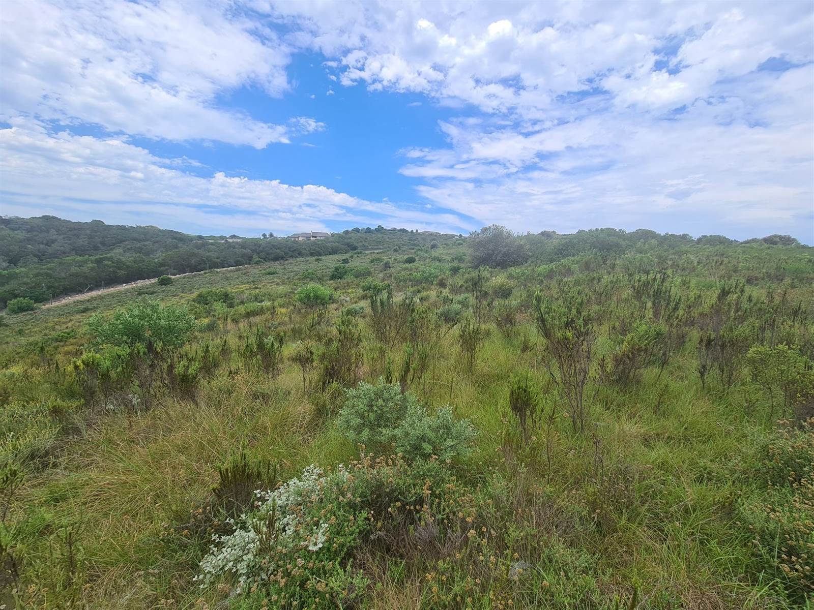702 m² Land available in Fernwood Estate photo number 9