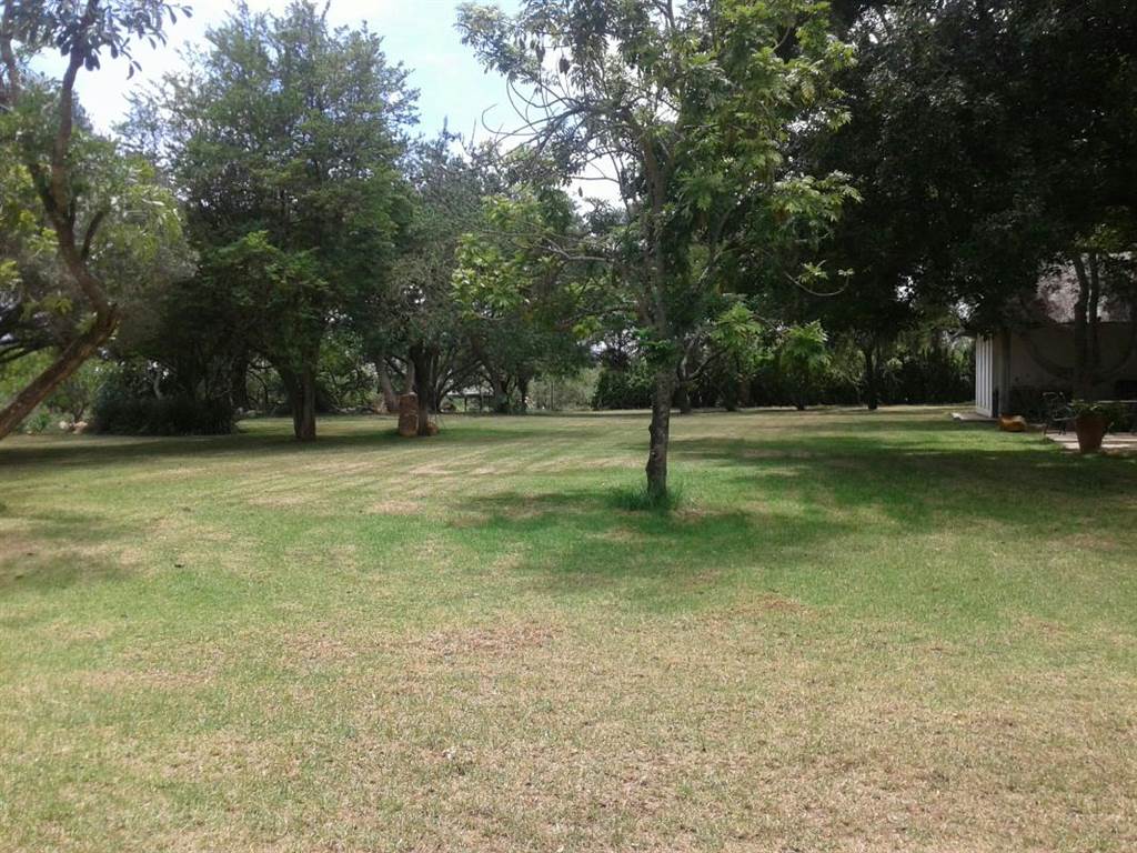 6.4 ha Smallholding in Polokwane Central photo number 26