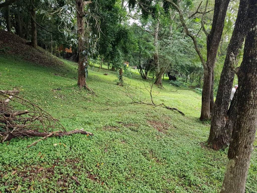 2534 m² Land available in Hillcrest Central photo number 4