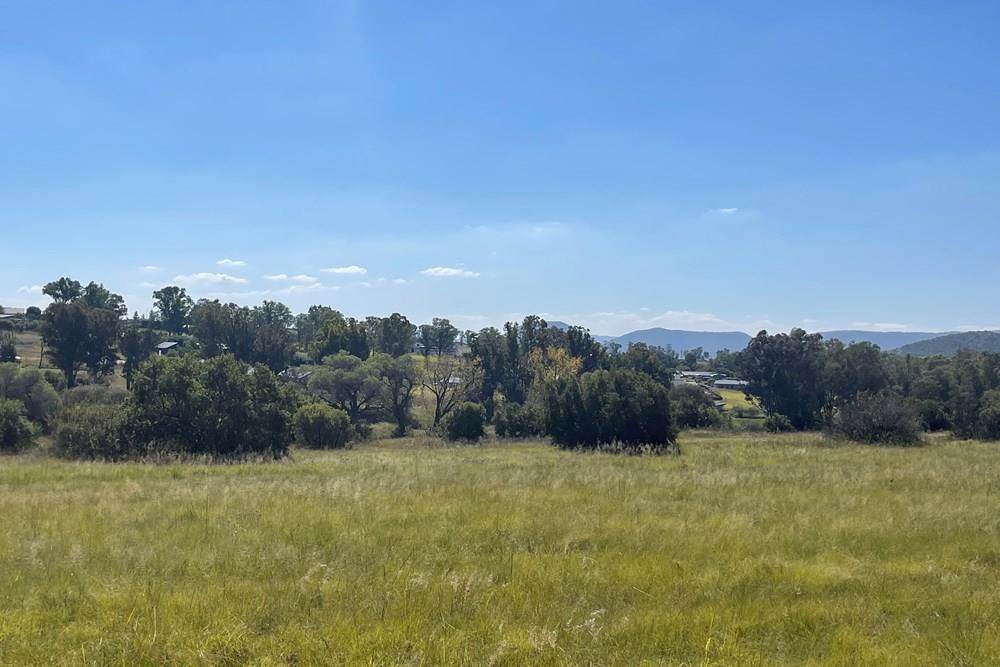 3795 m² Land available in Laezonia photo number 6