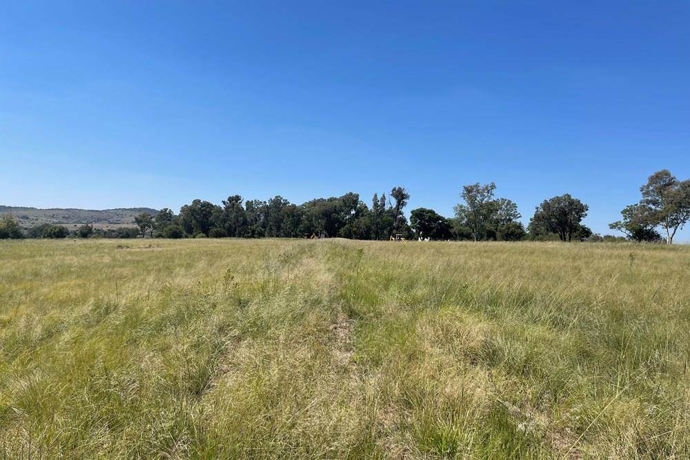 3795 m² Land available in Laezonia photo number 3