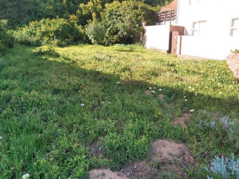 356 m² Land available in Tergniet photo number 6
