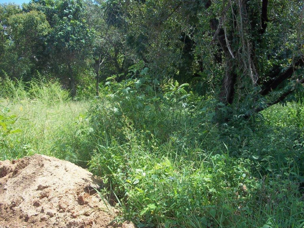1136 m² Land available in Hazyview photo number 4
