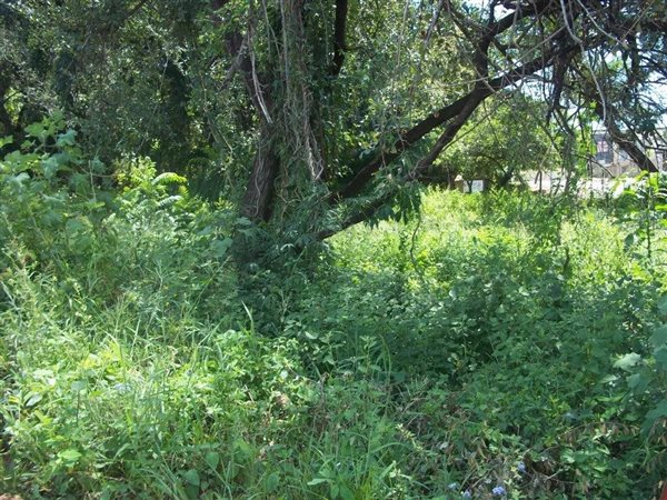 1136 m² Land available in Hazyview