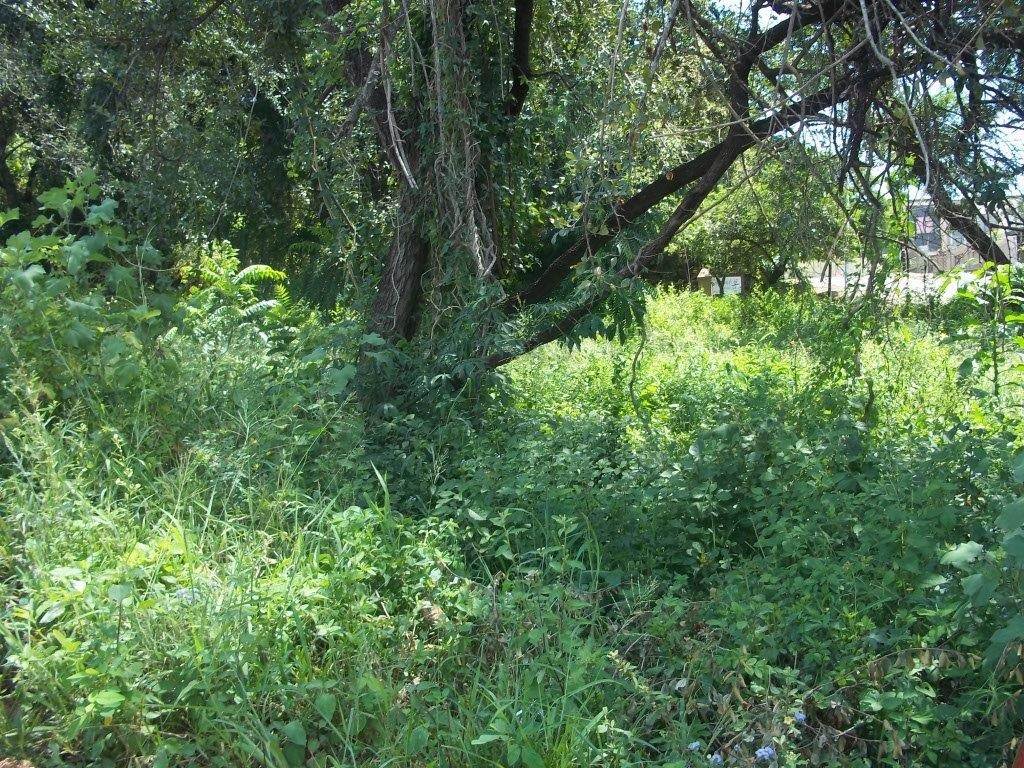 1136 m² Land available in Hazyview photo number 1