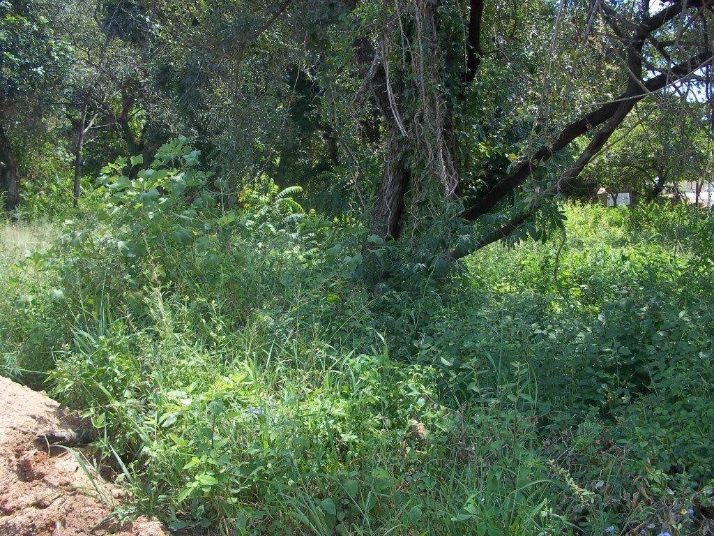 1136 m² Land available in Hazyview photo number 3