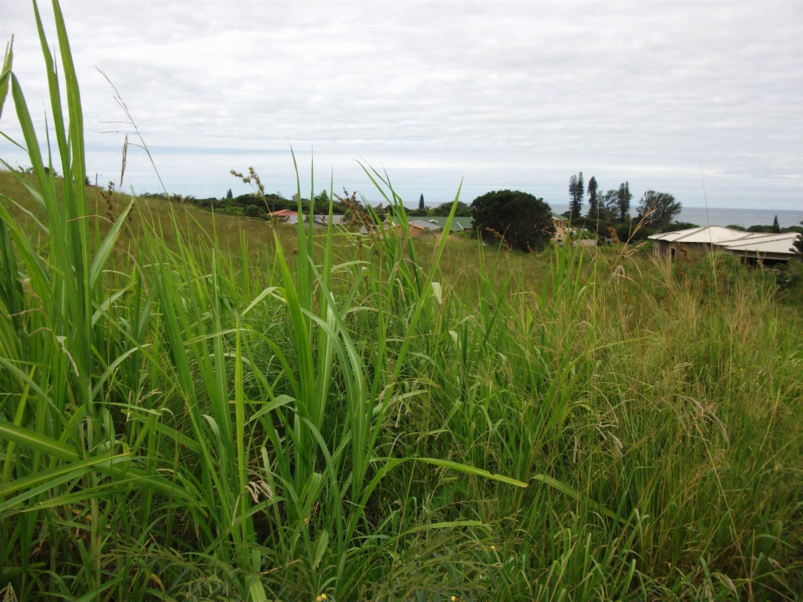 1014 m² Land available in Port Edward photo number 8