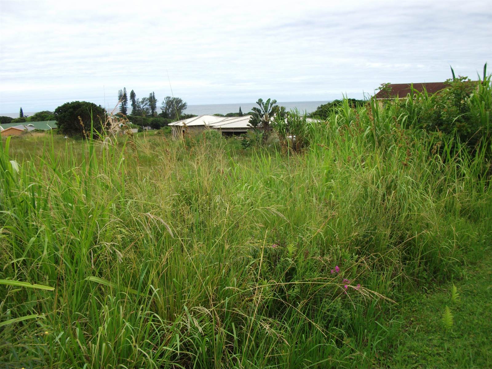 1014 m² Land available in Port Edward photo number 9