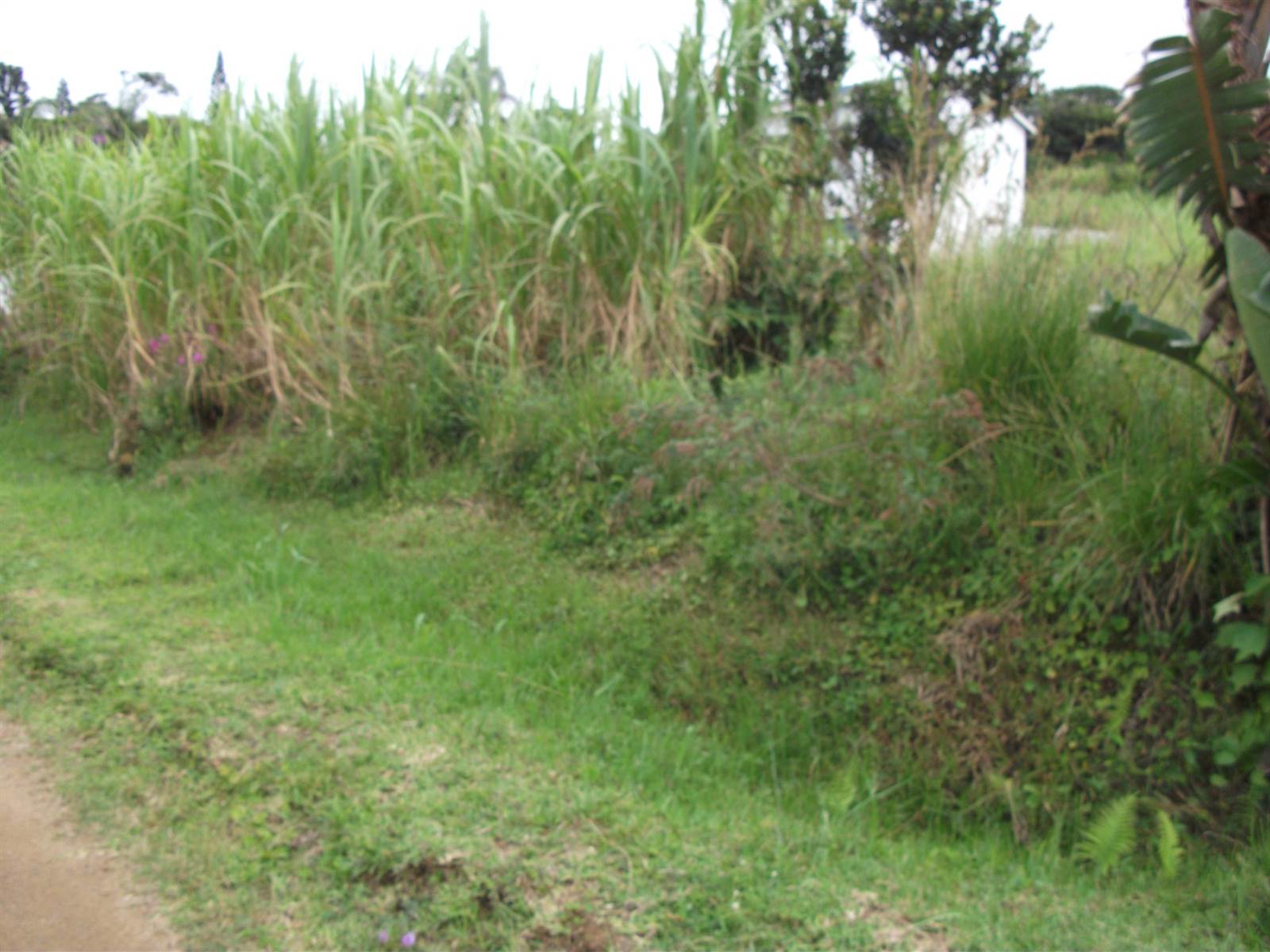 1014 m² Land available in Port Edward photo number 3