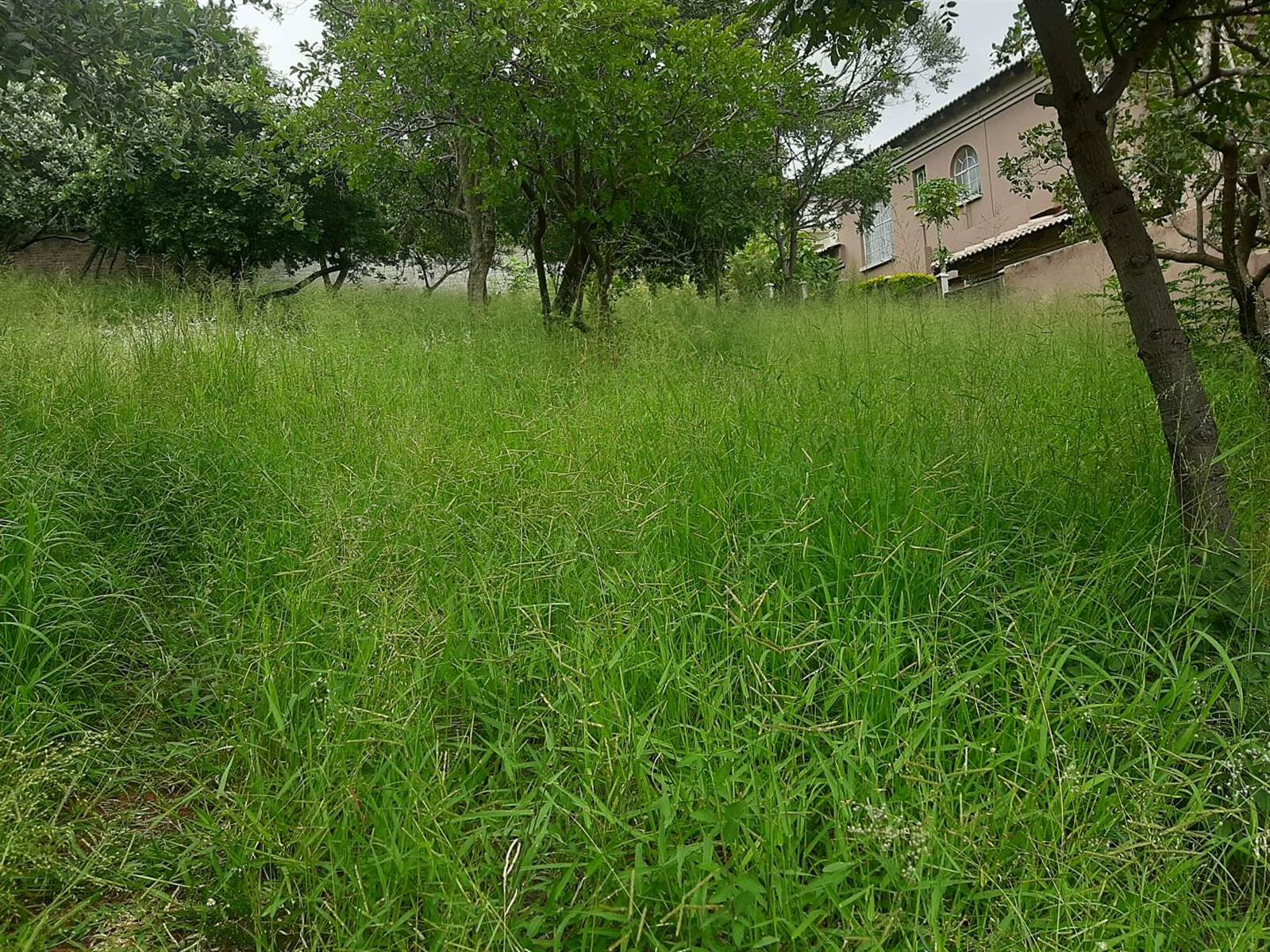 750 m² Land available in Cashan photo number 2