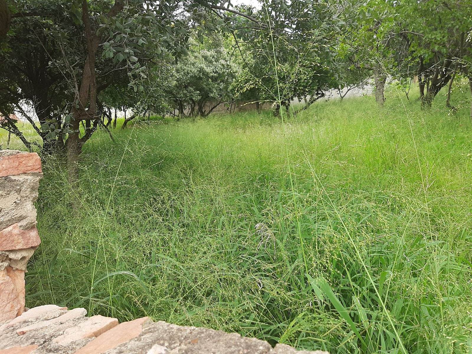 750 m² Land available in Cashan photo number 11
