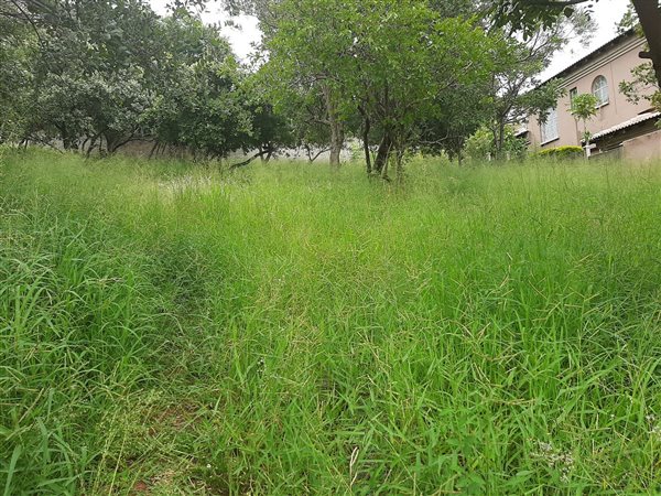 750 m² Land available in Cashan