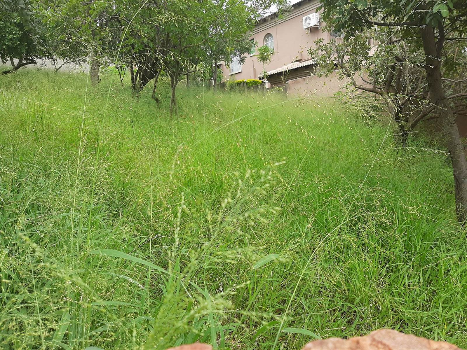 750 m² Land available in Cashan photo number 13