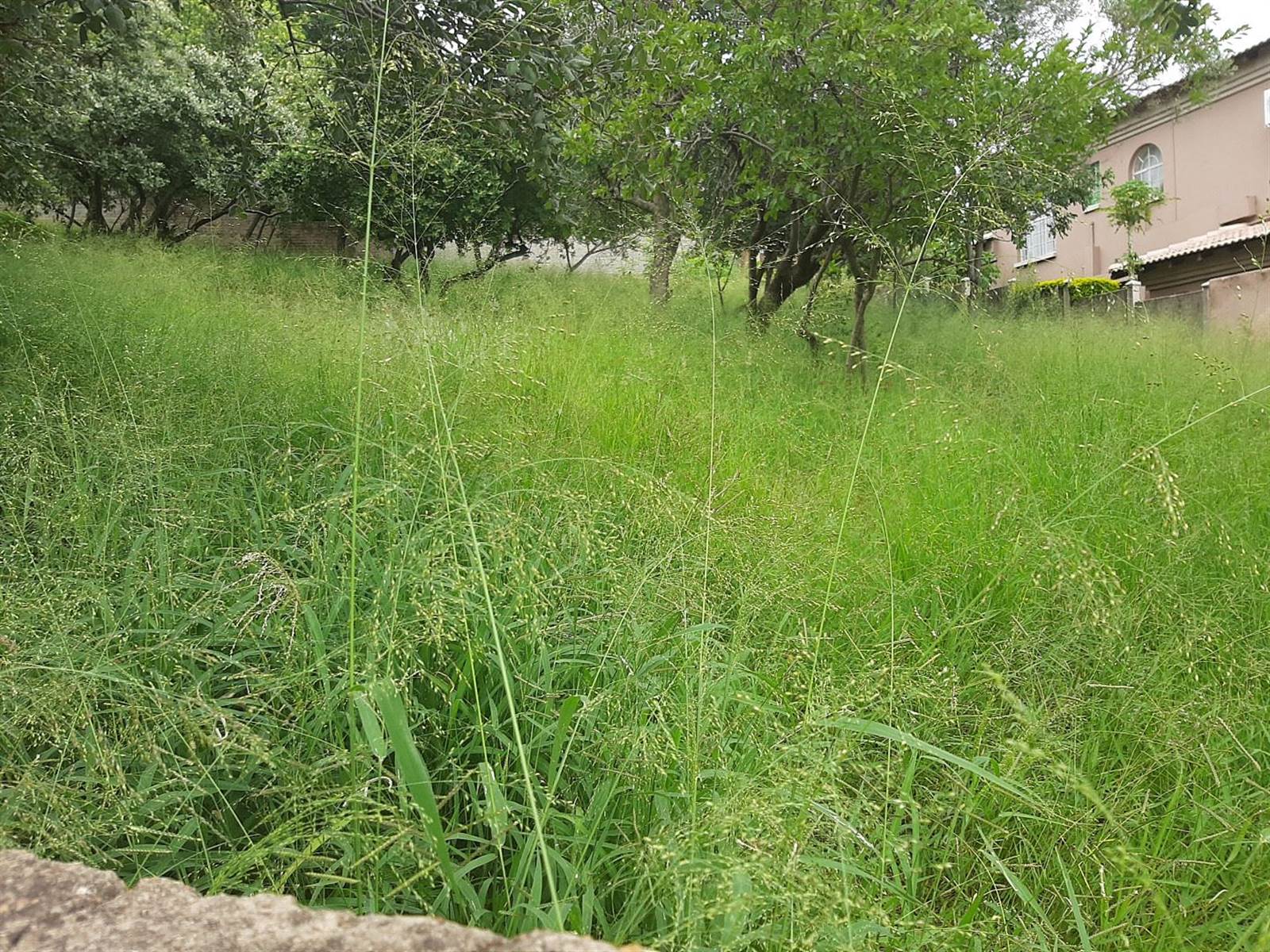 750 m² Land available in Cashan photo number 12