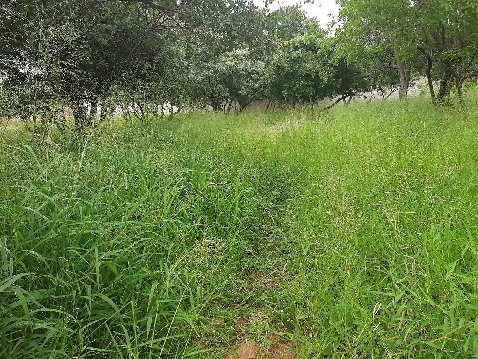 750 m² Land available in Cashan photo number 10