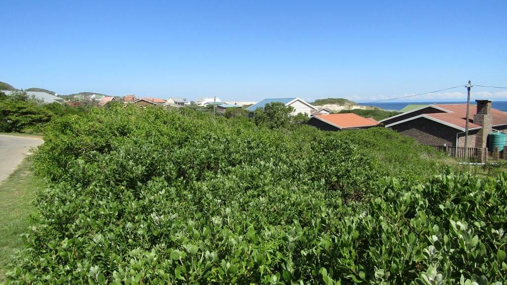 611 m² Land available in Oyster Bay photo number 5