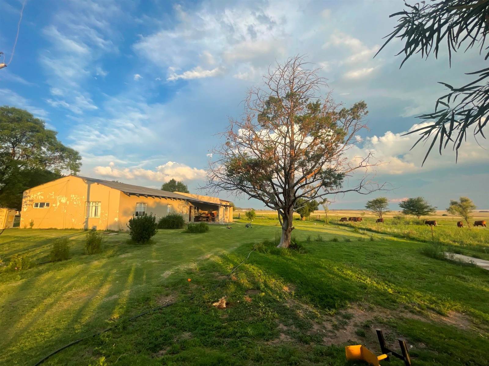 21.4 ha Farm in Bloemfontein photo number 4