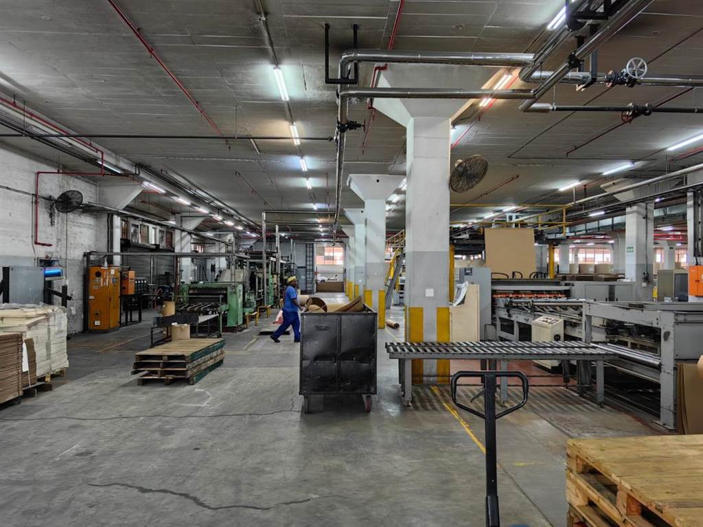 26000  m² Industrial space in Mobeni photo number 8