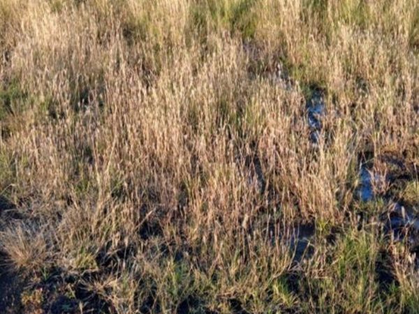 2 091 m² Land