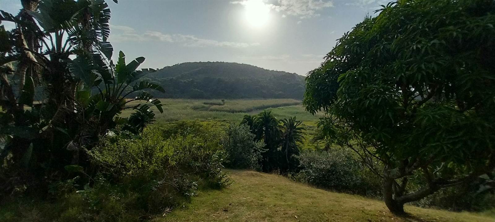 1253 m² Land available in Elysium photo number 6
