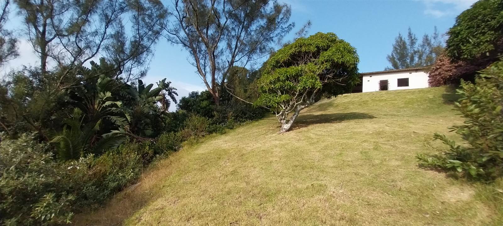1253 m² Land available in Elysium photo number 10