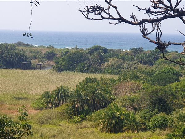 1253 m² Land available in Elysium