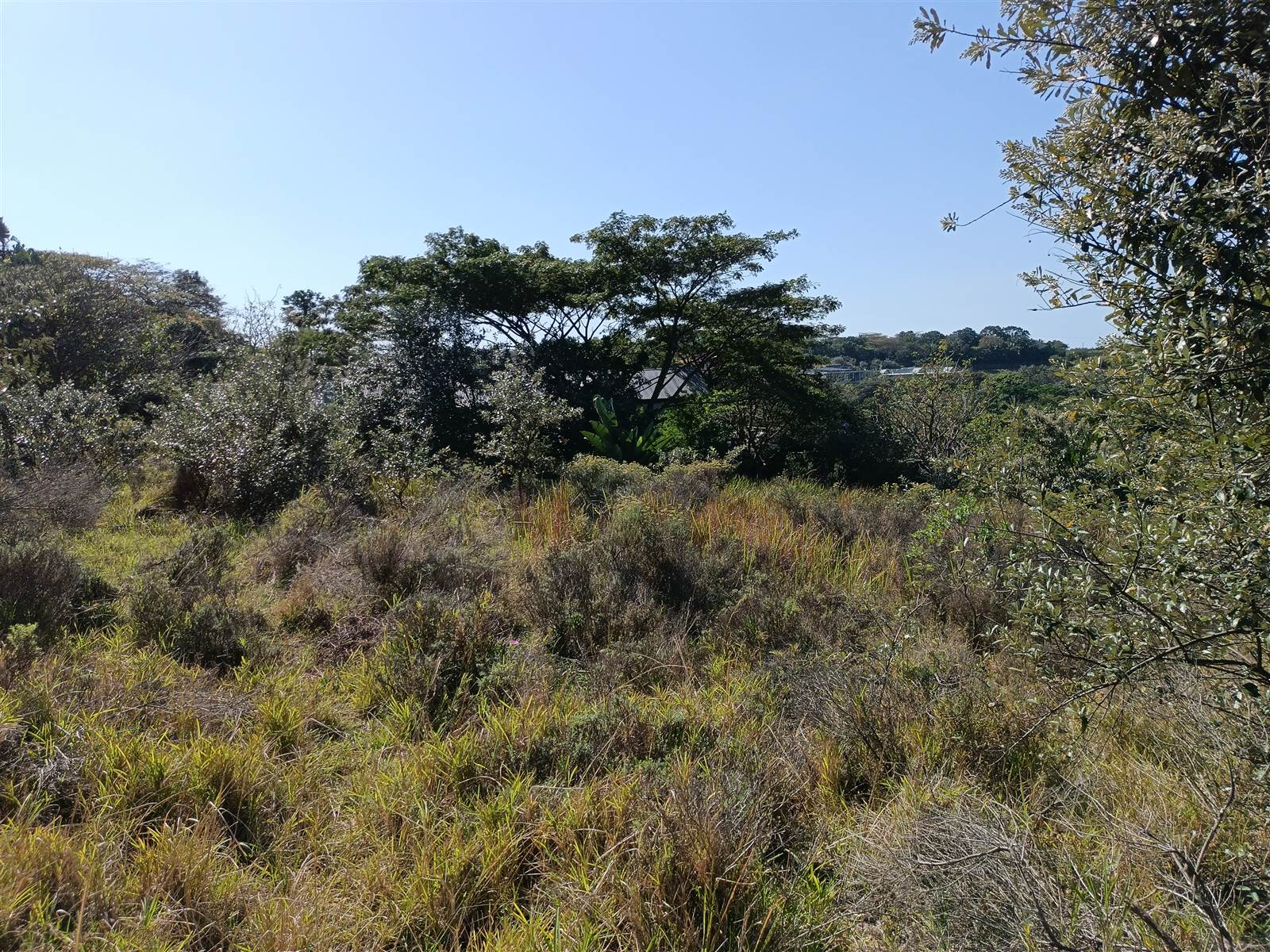 1304 m² Land available in Simbithi Estate photo number 11