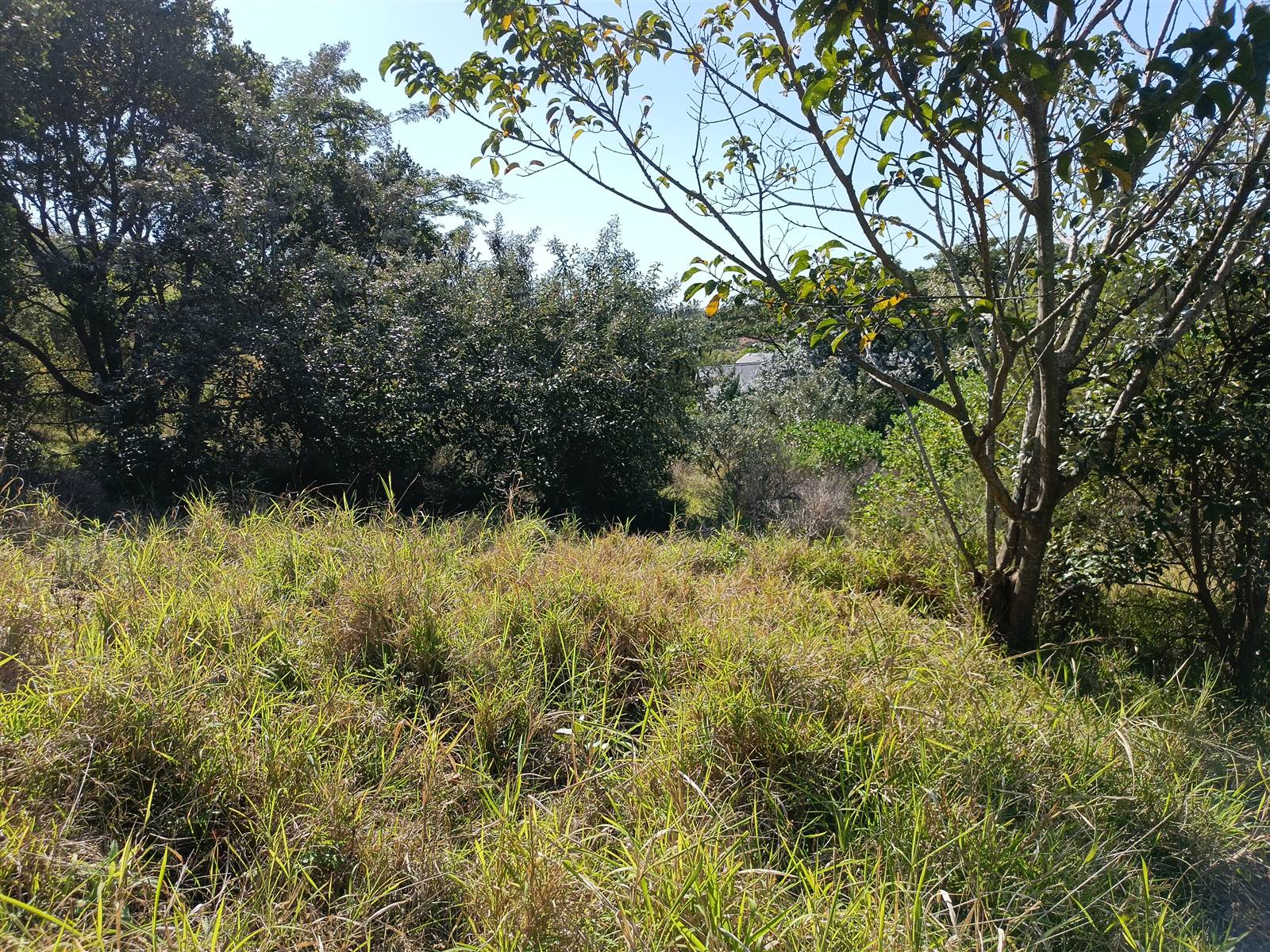 1304 m² Land available in Simbithi Estate photo number 7