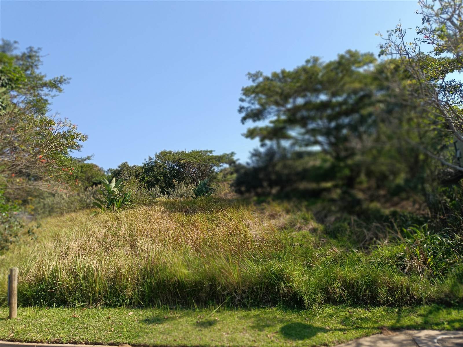 1304 m² Land available in Simbithi Estate photo number 4