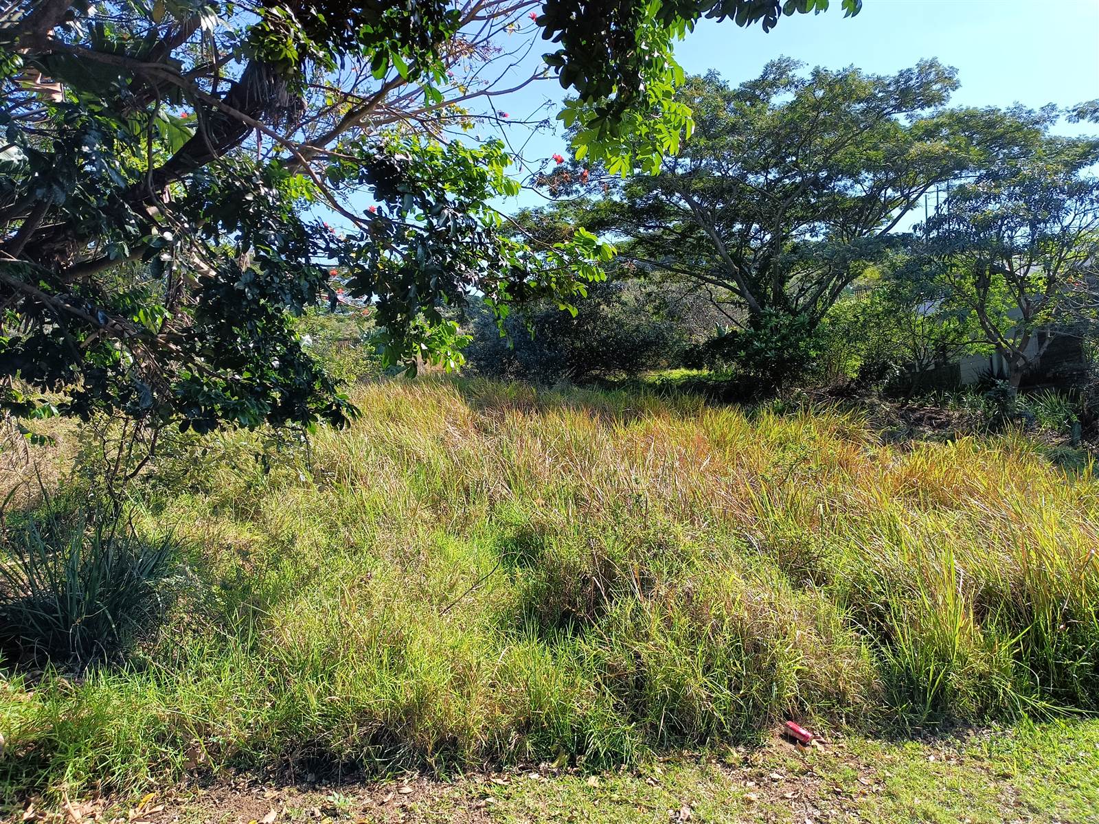 1304 m² Land available in Simbithi Estate photo number 5