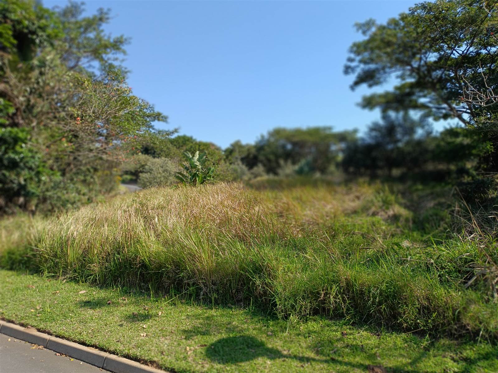 1304 m² Land available in Simbithi Estate photo number 1