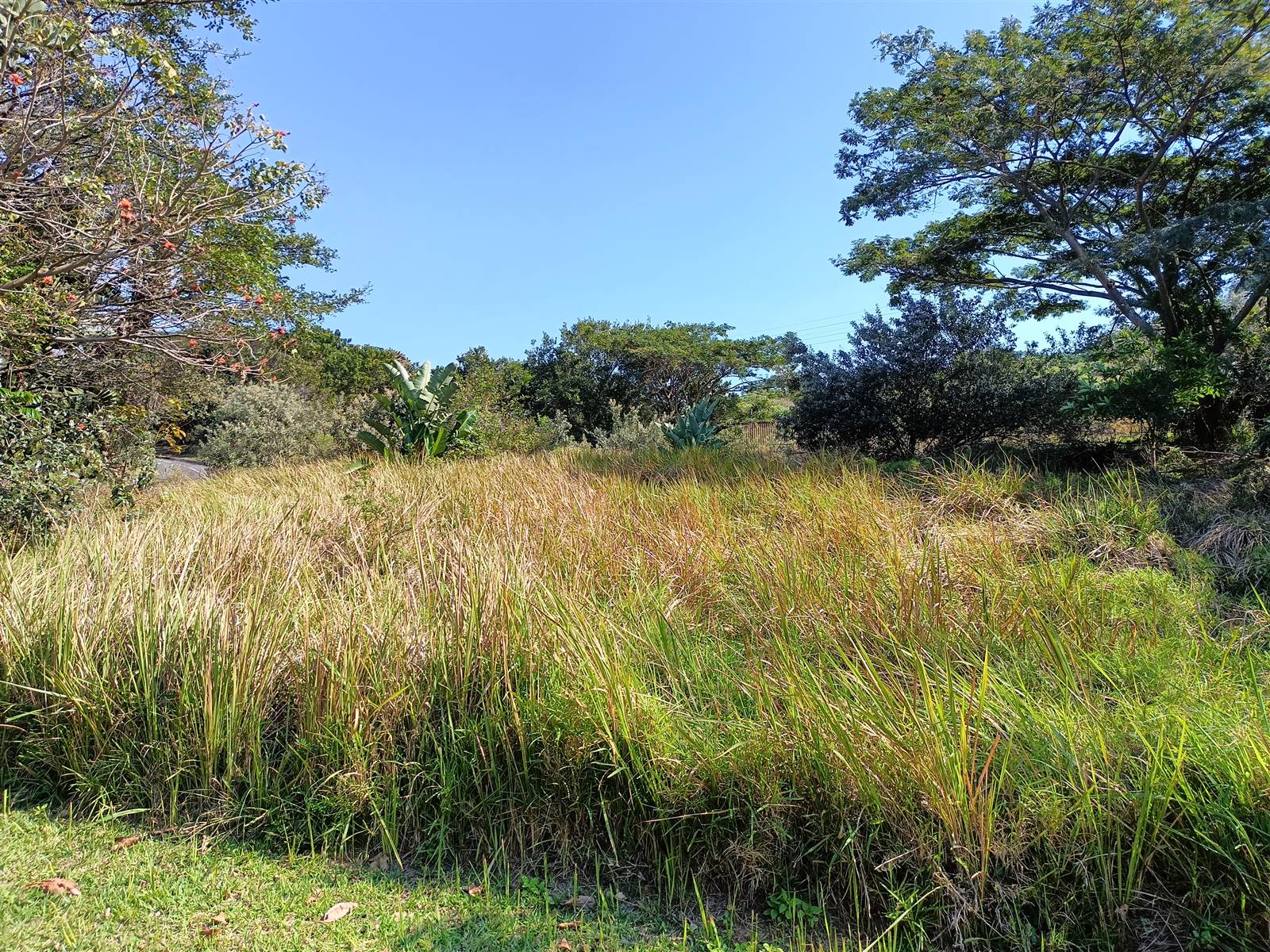 1304 m² Land available in Simbithi Estate photo number 3