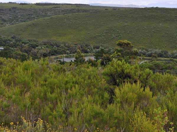 847 m² Land available in Baron View
