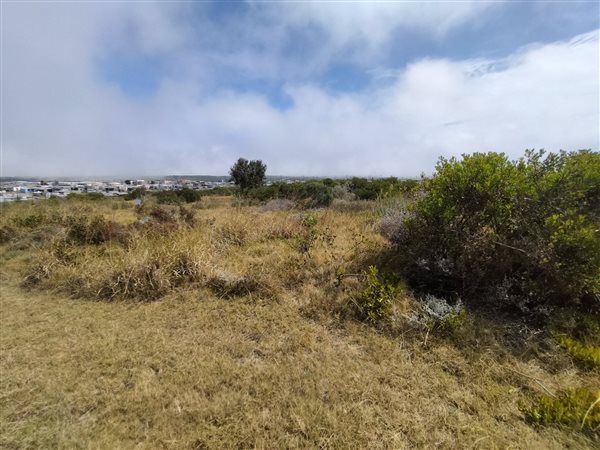 1302 m² Land available in Kwanonqaba