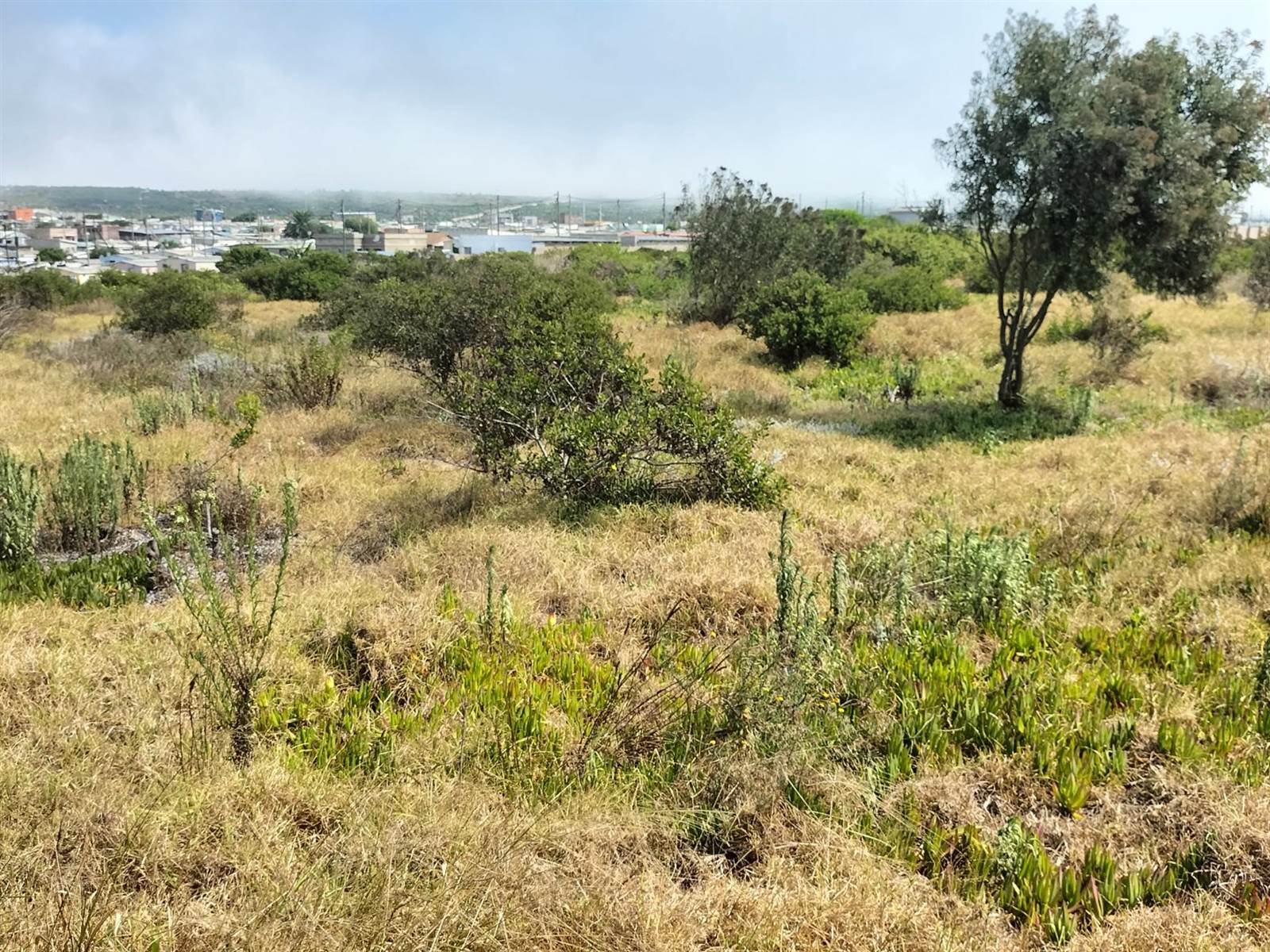 1302 m² Land available in Kwanonqaba photo number 4