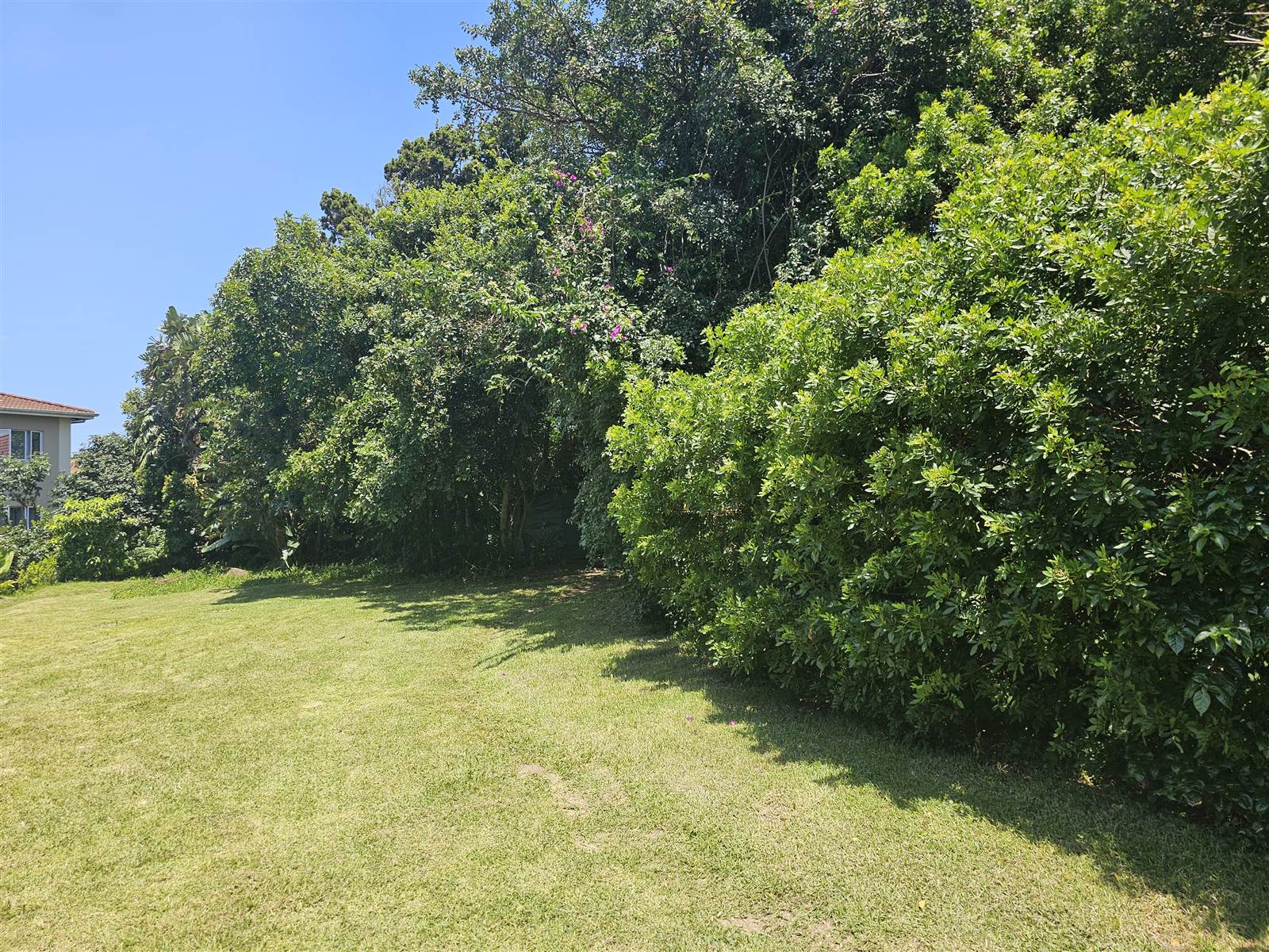 402 m² Land available in Ballito photo number 5