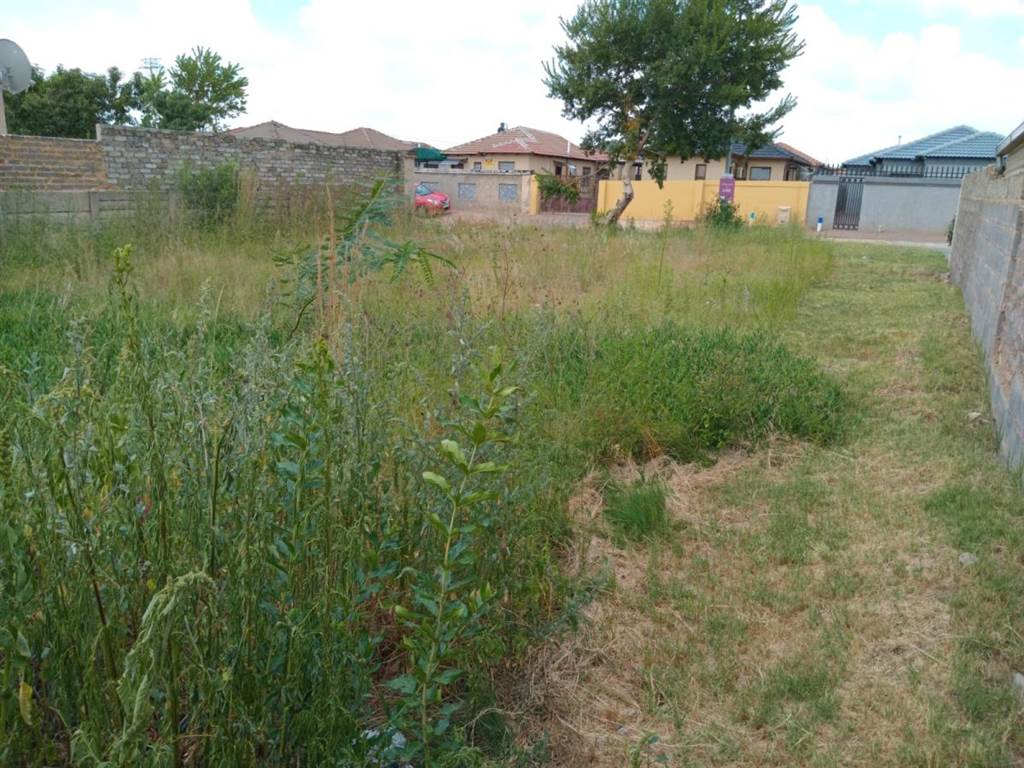 260 m² Land available in Goudrand photo number 5