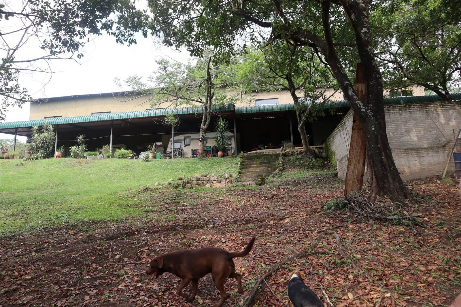 83.5 ha Farm in White River photo number 1