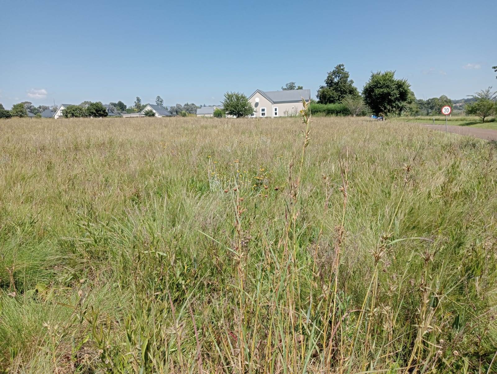 1600 m² Land available in Howick photo number 6
